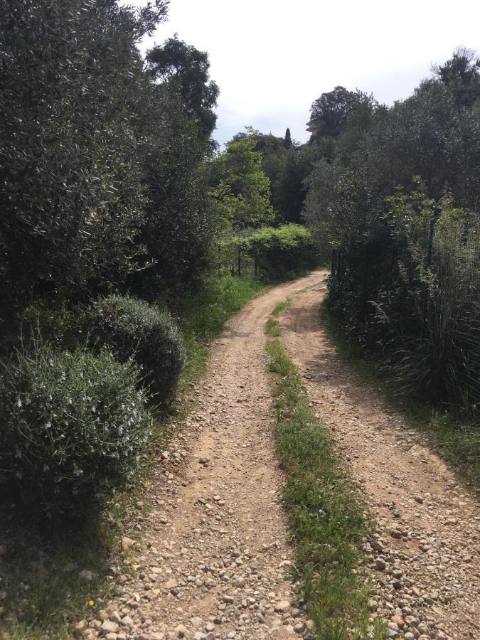 Cottage Pura Vigna Immerso Nella Natura Vicino Al Mare Porto Santo Stefano  Eksteriør bilde