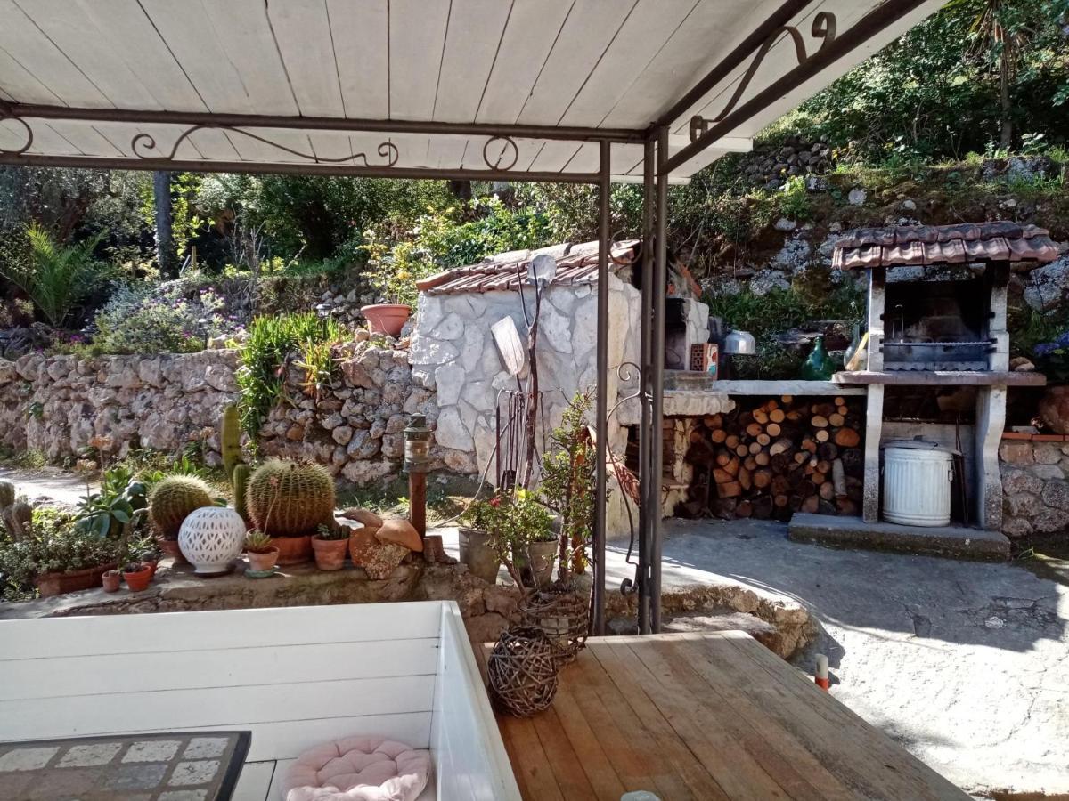 Cottage Pura Vigna Immerso Nella Natura Vicino Al Mare Porto Santo Stefano  Eksteriør bilde