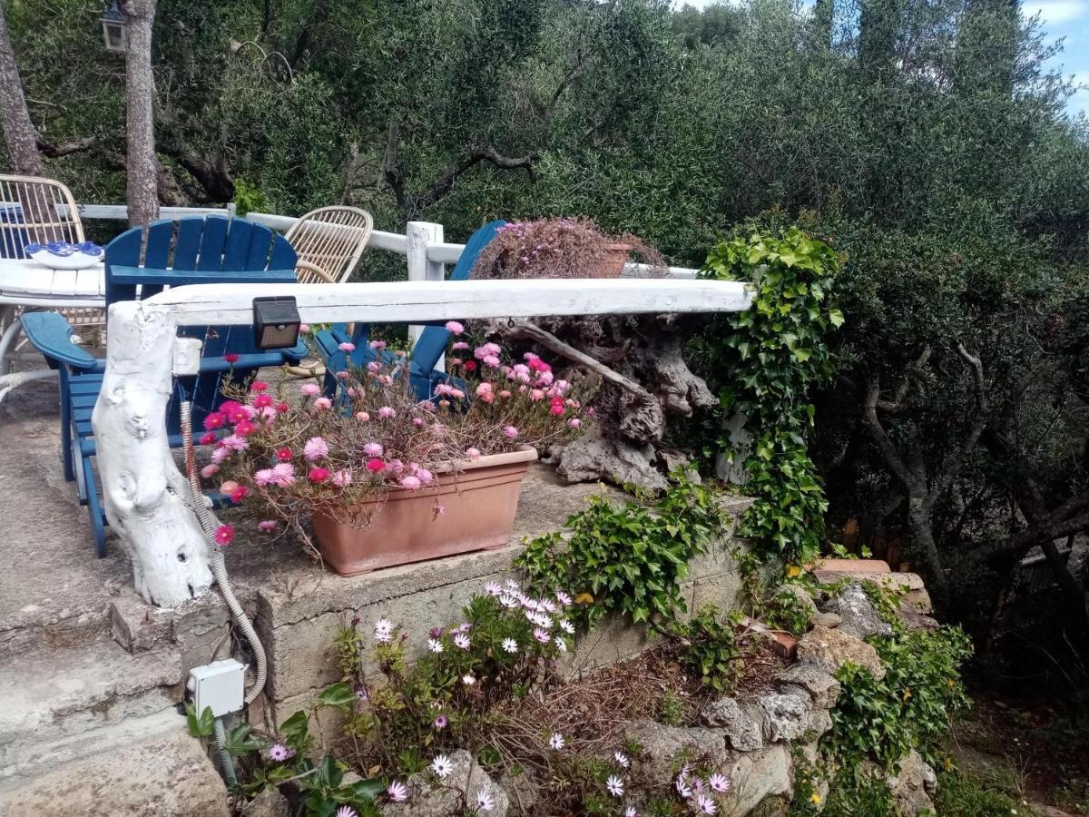 Cottage Pura Vigna Immerso Nella Natura Vicino Al Mare Porto Santo Stefano  Eksteriør bilde