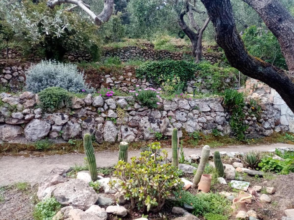 Cottage Pura Vigna Immerso Nella Natura Vicino Al Mare Porto Santo Stefano  Eksteriør bilde
