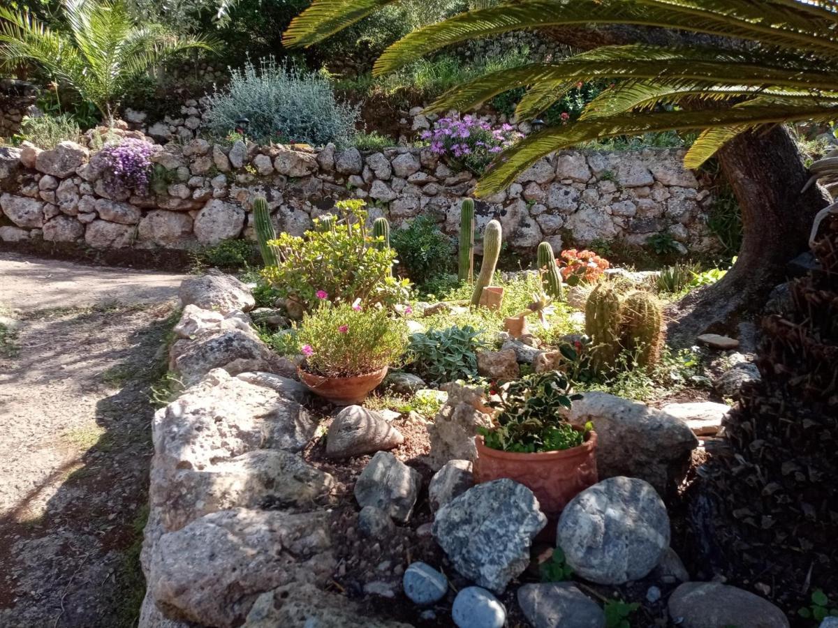 Cottage Pura Vigna Immerso Nella Natura Vicino Al Mare Porto Santo Stefano  Eksteriør bilde