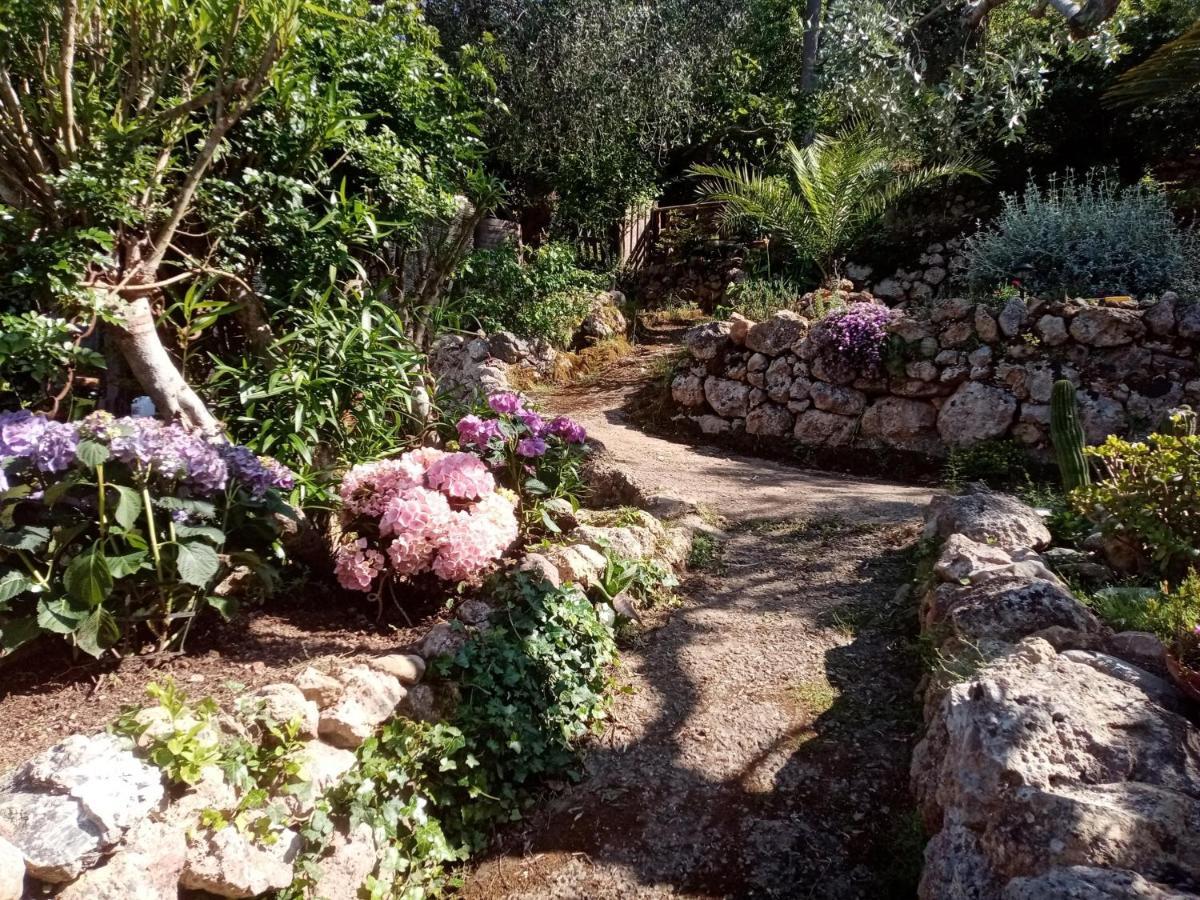 Cottage Pura Vigna Immerso Nella Natura Vicino Al Mare Porto Santo Stefano  Eksteriør bilde