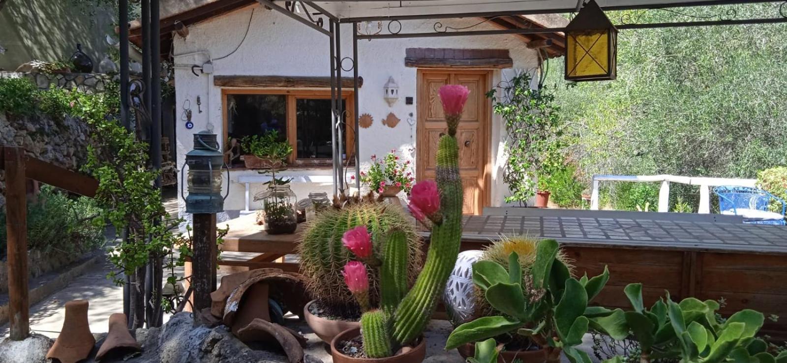 Cottage Pura Vigna Immerso Nella Natura Vicino Al Mare Porto Santo Stefano  Eksteriør bilde
