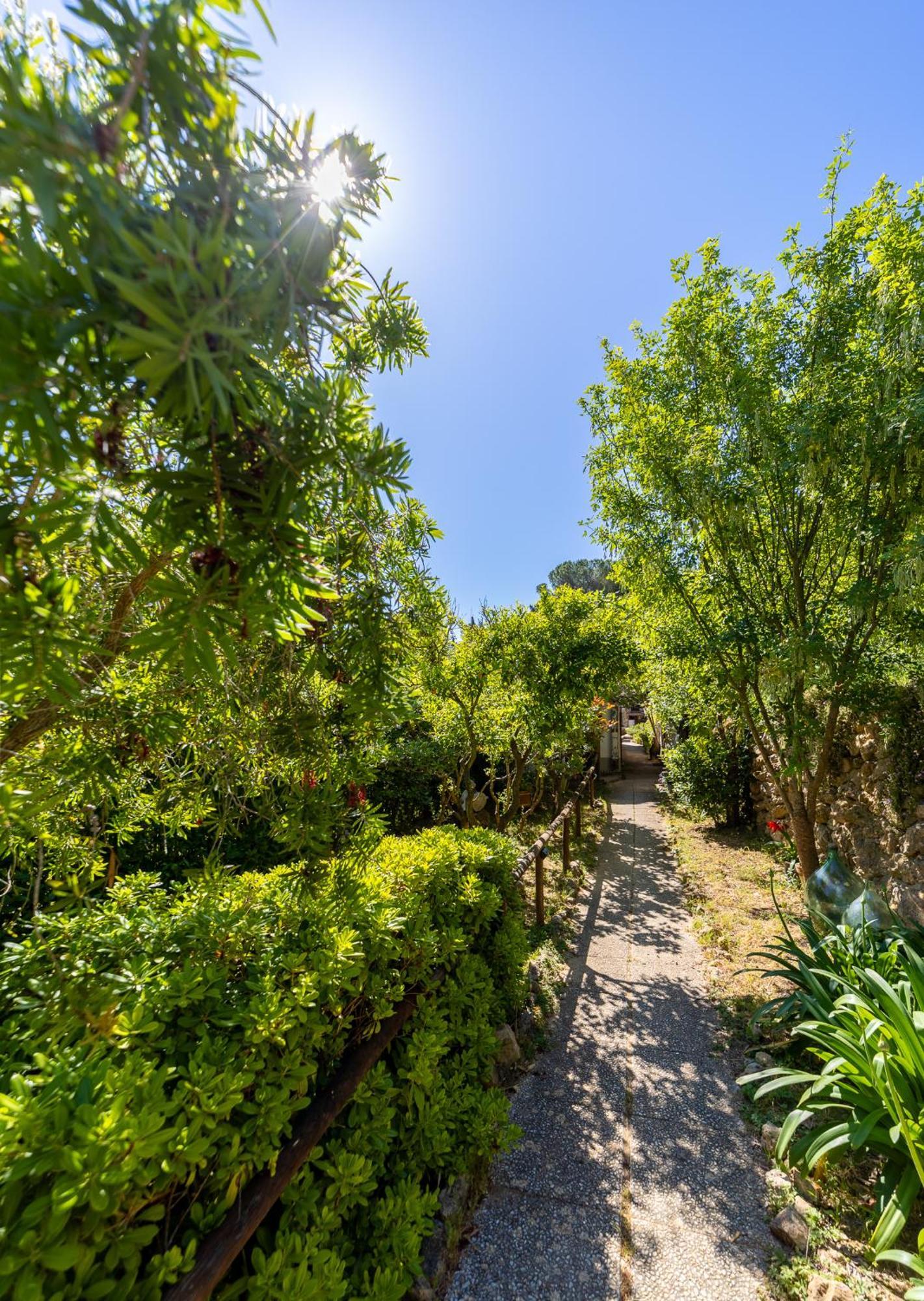 Cottage Pura Vigna Immerso Nella Natura Vicino Al Mare Porto Santo Stefano  Eksteriør bilde