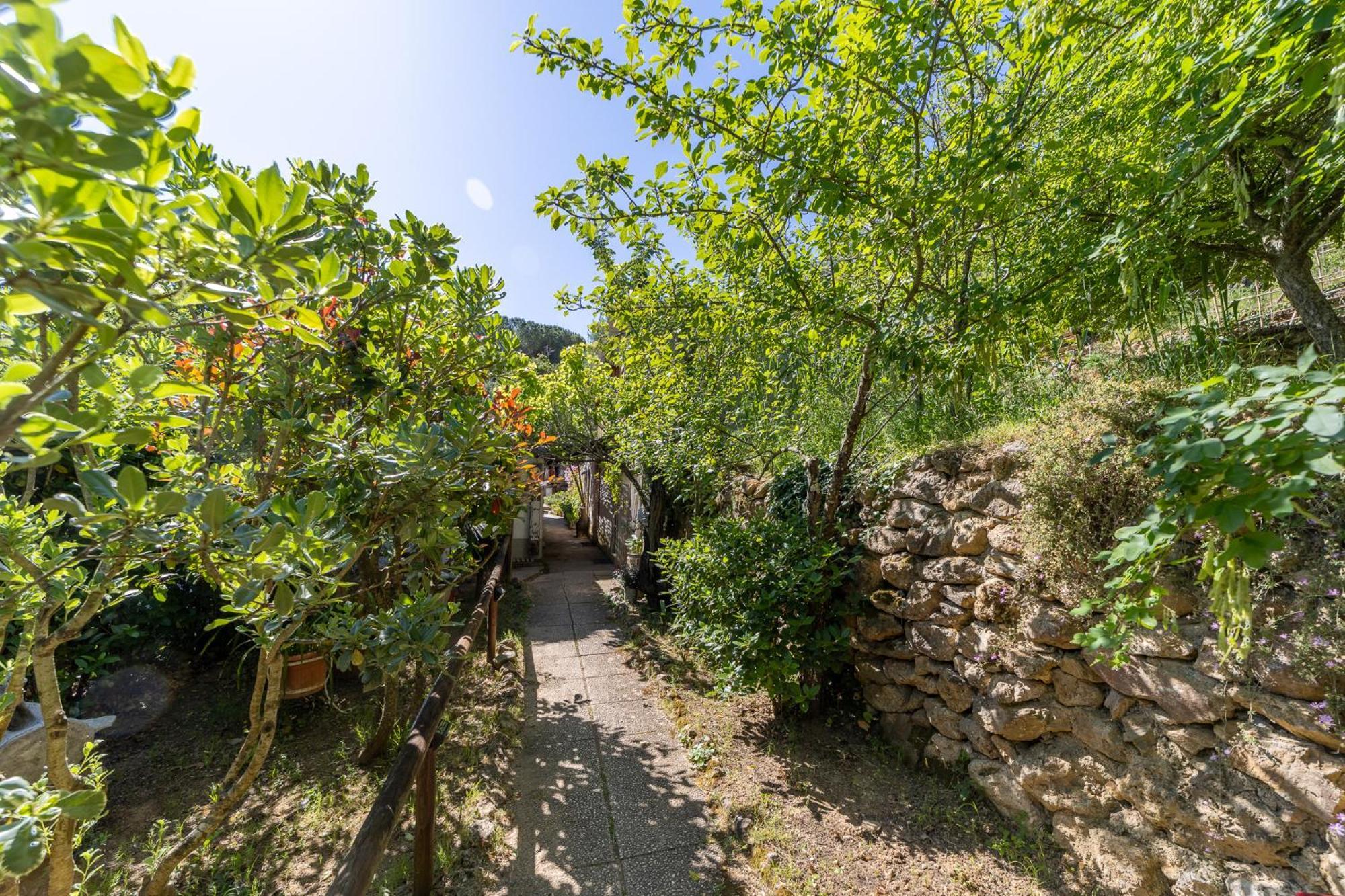 Cottage Pura Vigna Immerso Nella Natura Vicino Al Mare Porto Santo Stefano  Eksteriør bilde