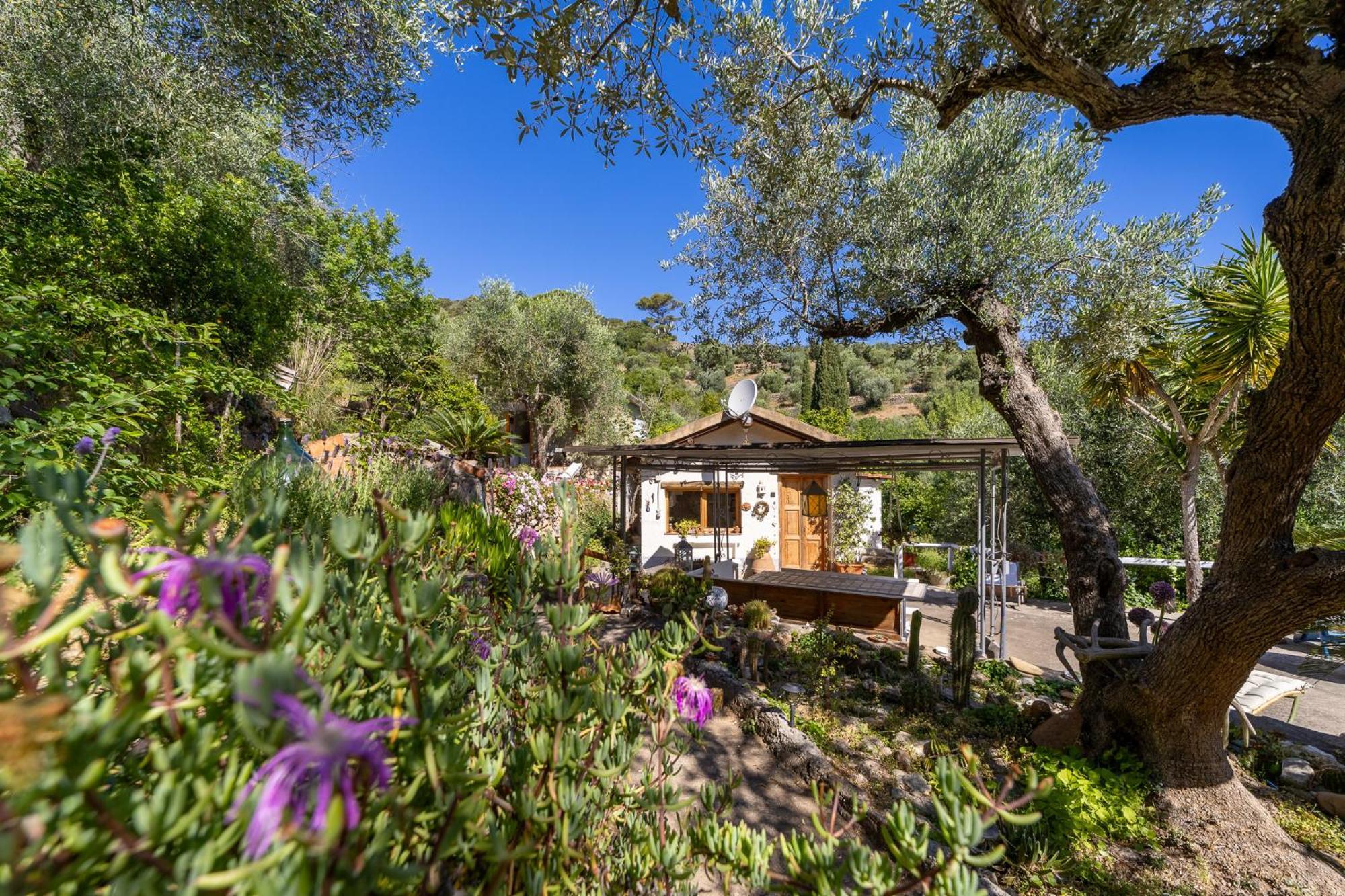 Cottage Pura Vigna Immerso Nella Natura Vicino Al Mare Porto Santo Stefano  Eksteriør bilde