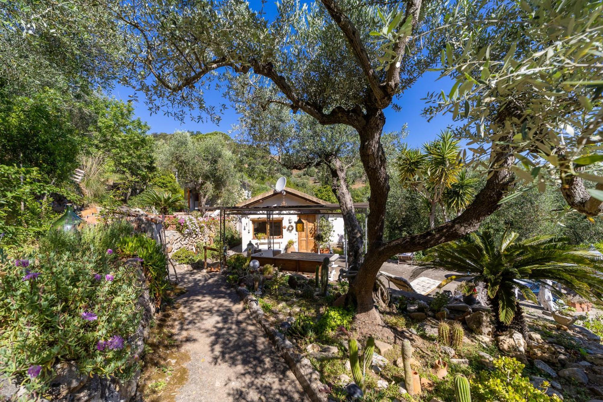 Cottage Pura Vigna Immerso Nella Natura Vicino Al Mare Porto Santo Stefano  Eksteriør bilde